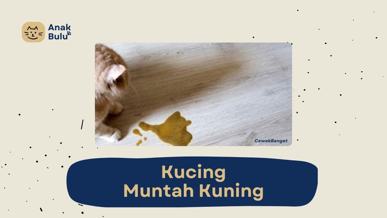 Cover Kucing Muntah Kuning AnakBulu