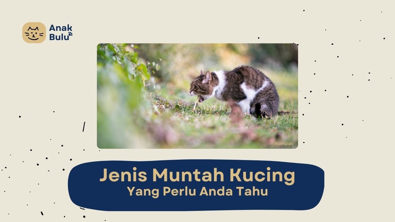 Cover Jenis Muntah Kucing AnakBulu