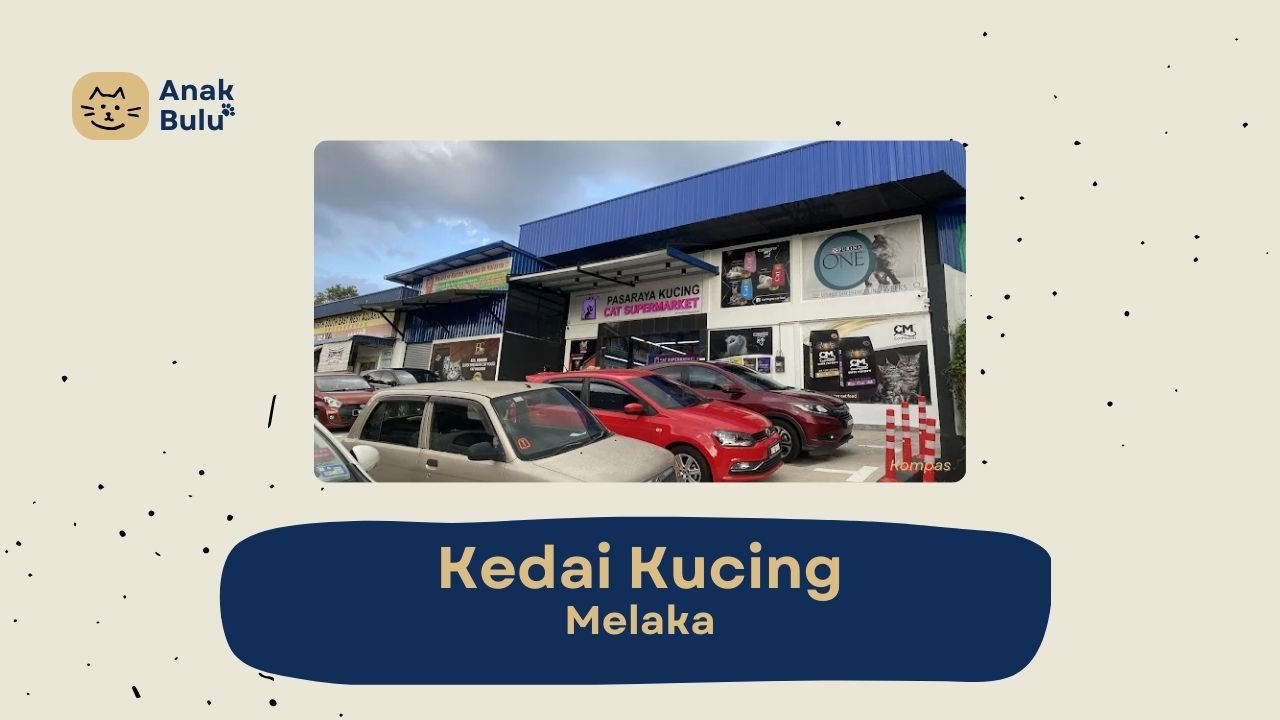 Cover Kedai Kucing Melaka AnakBulu