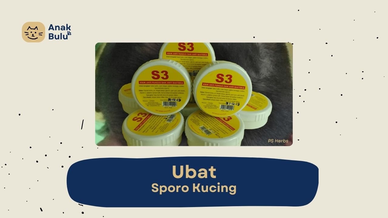 Cover Ubat Sporo Kucing AnakBulu