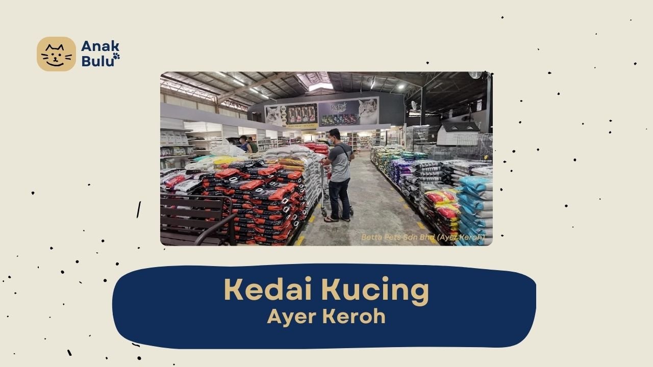 Cover Kedai Kucing Ayer Keroh AnakBulu