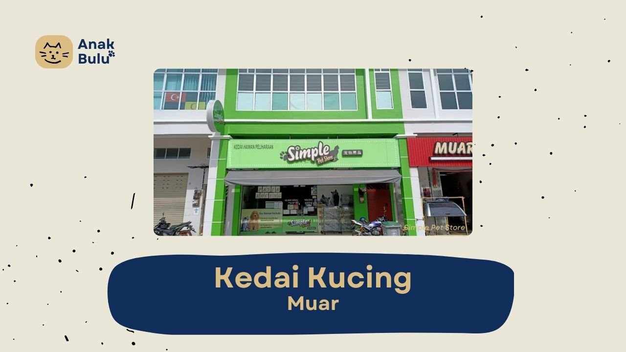 Cover Kedai Kucing Muar AnakBulu