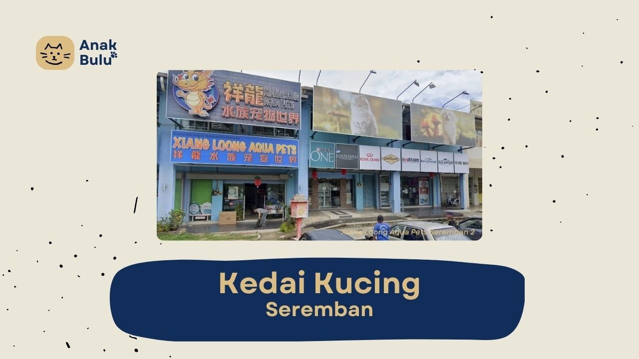 Cover Kedai Kucing Seremban AnakBulu