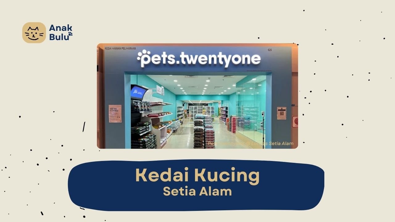 Cover Kedai Kucing Setia Alam AnakBulu