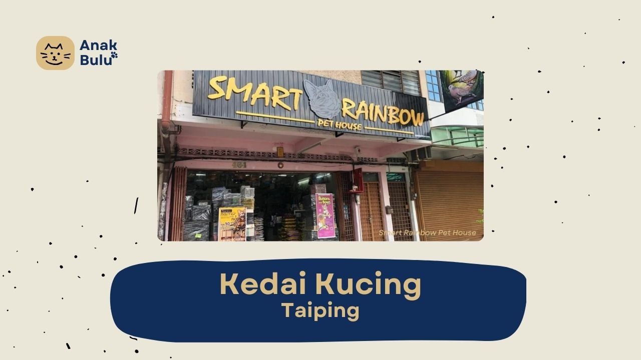 Cover Kedai Kucing Taiping AnakBulu