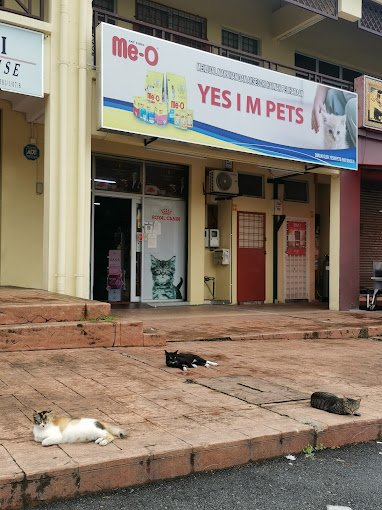 Yesim Pets